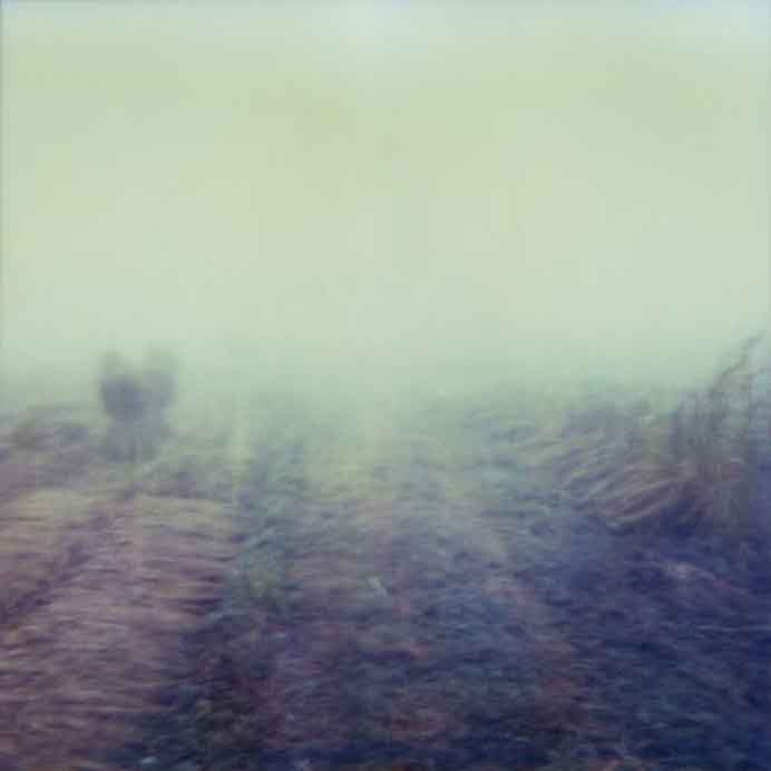 Shen Yi Elsie  沈怡-  Expired Landscape